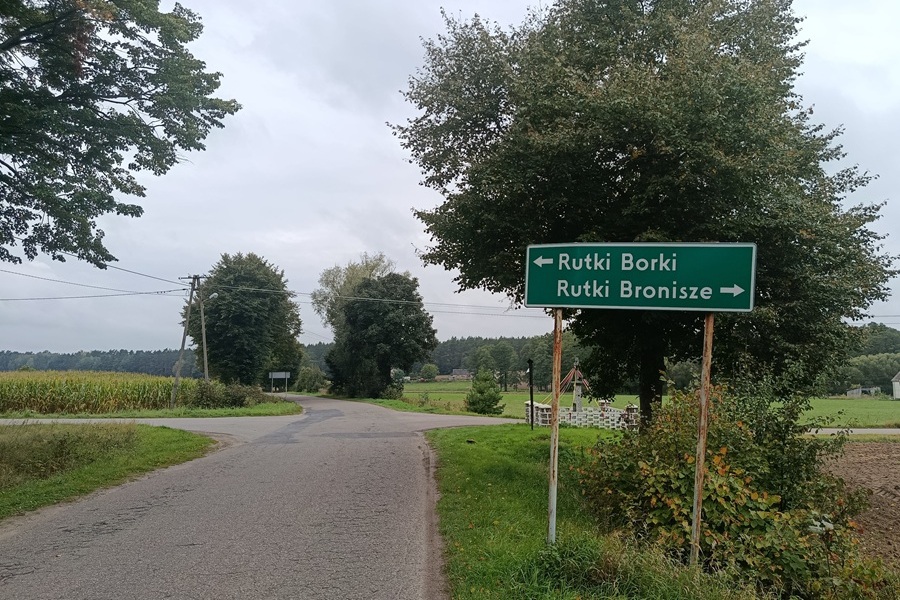 Tu, gdzie nasz dom. Rutki